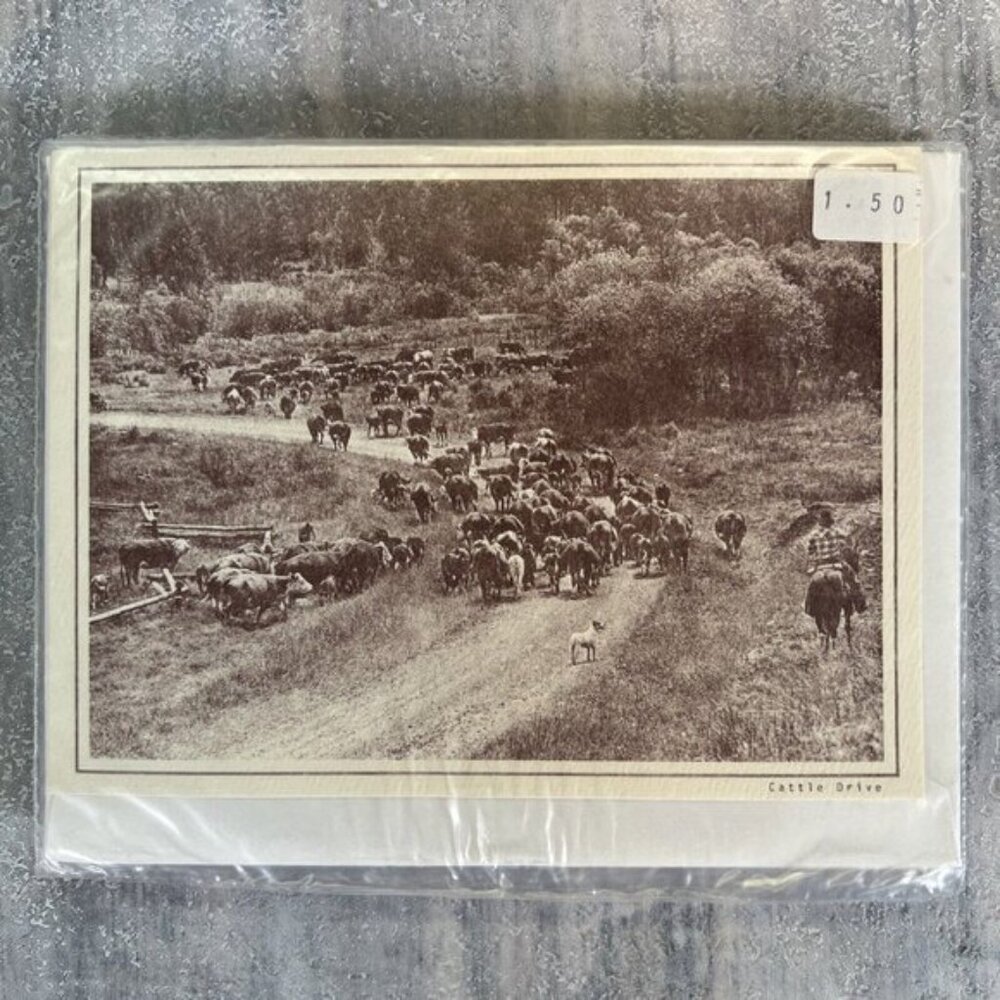 Vintage Greeting Card Cowboy Cattle Drive Photo 1987 Don Smith 100 Mile House